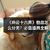 《燕云十六声》物品怎么分类?必备道具全解析(图4) 《燕云十六声》物品怎么分类?必备道具全解析(图4)