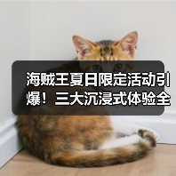 海贼王夏日限定活动引爆!三大沉浸式体验全解析(图4) 海贼王夏日限定活动引爆!三大沉浸式体验全解析(图4)