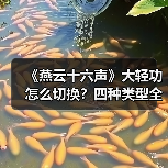 《燕云十六声》大轻功怎么切换？四种类型全解析（图2）