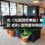 当《海德薇变奏曲》响起 哈利·波特重映唤醒魔法回忆(图3) 当《海德薇变奏曲》响起 哈利·波特重映唤醒魔法回忆(图3)