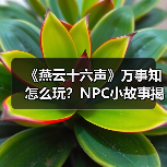 《燕云十六声》万事知怎么玩？NPC小故事揭秘