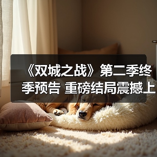 《双城之战》第二季终季预告 重磅结局震撼上线(图2) 《双城之战》第二季终季预告 重磅结局震撼上线(图2)