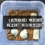 《直到黎明》电影版即将上映!希尔医生回归引期待(图4) 《直到黎明》电影版即将上映!希尔医生回归引期待(图4)