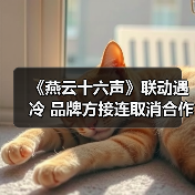 《燕云十六声》联动遇冷 品牌方接连取消合作(图4) 《燕云十六声》联动遇冷 品牌方接连取消合作(图4)