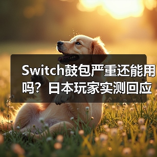 Switch鼓包严重还能用吗?日本玩家实测回应(图2) Switch鼓包严重还能用吗?日本玩家实测回应(图2)