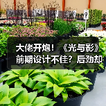 大佬开炮!《光与影》前期设计不佳?后劲却让玩家惊叹(图3) 大佬开炮!《光与影》前期设计不佳?后劲却让玩家惊叹(图3)