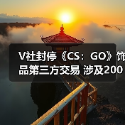 V社封停《CS:GO》饰品第三方交易 涉及200万美元(图4) V社封停《CS:GO》饰品第三方交易 涉及200万美元(图4)