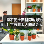皇家骑士团新周边曝光!平野耕太大博览会大阪展限定商品抢先看(图2) 皇家骑士团新周边曝光!平野耕太大博览会大阪展限定商品抢先看(图2)