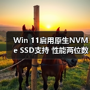 Win 11启用原生NVMe SSD支持 性能两位数提升(图3) Win 11启用原生NVMe SSD支持 性能两位数提升(图3)