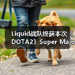 Liquid战队终获本次《DOTA2》Super Major比赛冠军(图2) Liquid战队终获本次《DOTA2》Super Major比赛冠军(图2)