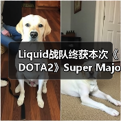 Liquid战队终获本次《DOTA2》Super Major比赛冠军(图4) Liquid战队终获本次《DOTA2》Super Major比赛冠军(图4)
