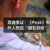直面争议：《Peak》制作人回应“朋友游戏”分类质疑