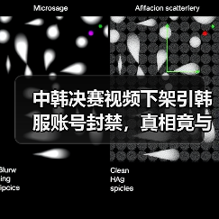 中韩决赛视频下架引韩服账号封禁,真相竟与Riot规定有关?(图3) 中韩决赛视频下架引韩服账号封禁,真相竟与Riot规定有关?(图3)