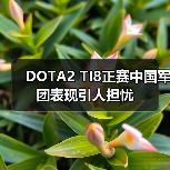 DOTA2 TI8正赛中国军团表现引人担忧（图4）