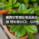 美国空军赞助电竞俱乐部 明年举办CS:GO特别赛事(图2) 美国空军赞助电竞俱乐部 明年举办CS:GO特别赛事(图2)