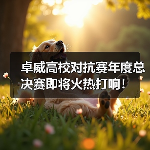 卓威高校对抗赛年度总决赛即将火热打响!(图3) 卓威高校对抗赛年度总决赛即将火热打响!(图3)
