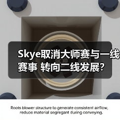 Skye取消大师赛与一线赛事 转向二线发展?(图3) Skye取消大师赛与一线赛事 转向二线发展?(图3)