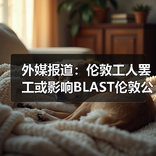 外媒报道:伦敦工人罢工或影响BLAST伦敦公开赛正常进行(图2) 外媒报道:伦敦工人罢工或影响BLAST伦敦公开赛正常进行(图2)