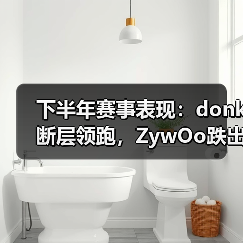 下半年赛事表现：donk断层领跑，ZywOo跌出前五，小菊第七（图3）