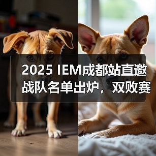 2025 IEM成都站直邀战队名单出炉,双败赛制谁能登顶?(图3) 2025 IEM成都站直邀战队名单出炉,双败赛制谁能登顶?(图3)
