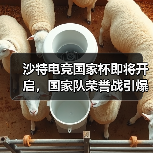 沙特电竞国家杯即将开启,国家队荣誉战引爆全球关注(图2) 沙特电竞国家杯即将开启,国家队荣誉战引爆全球关注(图2)