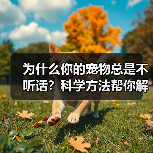 为什么你的宠物总是不听话?科学方法帮你解决(图1) 为什么你的宠物总是不听话?科学方法帮你解决(图1)
