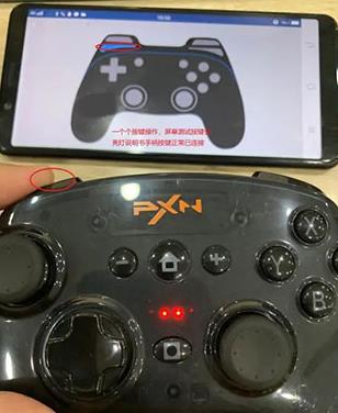 小鸡模拟器极速版最新版 小鸡模拟器极速版最新版