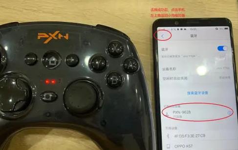 小鸡模拟器极速版最新版 小鸡模拟器极速版最新版