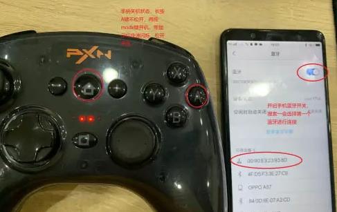 小鸡模拟器极速版最新版 小鸡模拟器极速版最新版
