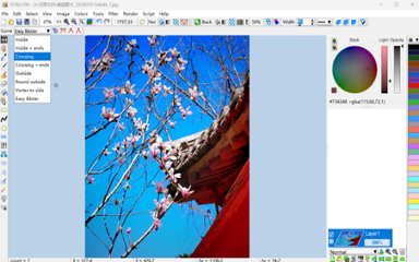 LazPaint