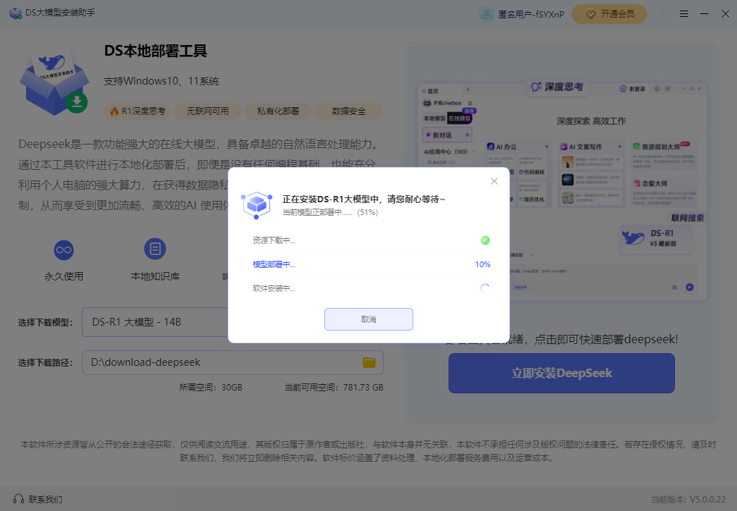 DS大模型安装助手