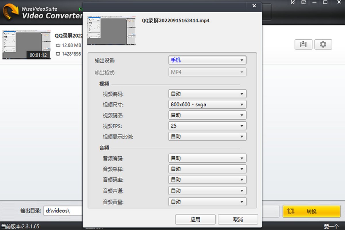 Wise Video Converter