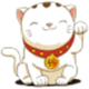 数据猫数据恢复软件 4.2.0.279