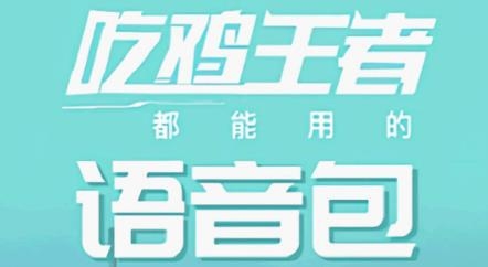 和平开黑变声器app最新版