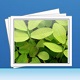 iPubsoft Photo Recovery 2.2.16