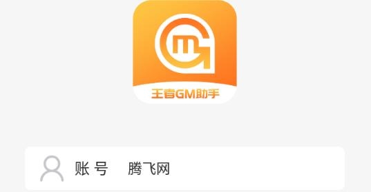 王者GM助手app官方版 王者GM助手app官方版