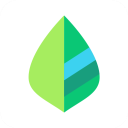 薄荷记账官方app  - 启芯Gene下载推荐移动软件